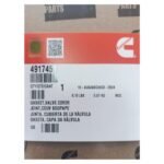 EMPAQUE DE CUBIERTAS - Imagen 3